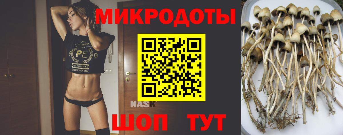 Артём  Галлюциногенные грибы ЛСД  Вход с VPN 